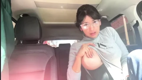 Car Boobs and Pussy Flash 2