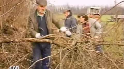 Farmers appetite 1