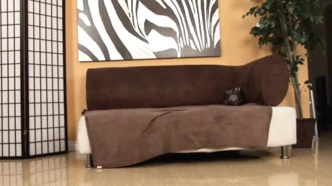 Blonde with big boobs gets fucked by BBC
