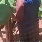 Slutty stepmother outdoor and big natural boobs